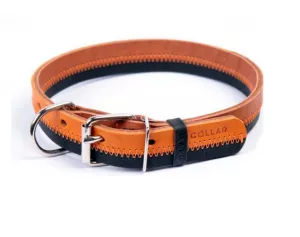 Collar ZigZag kožený obojok