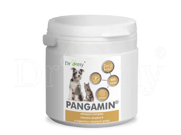 Dromy PANGAMIN