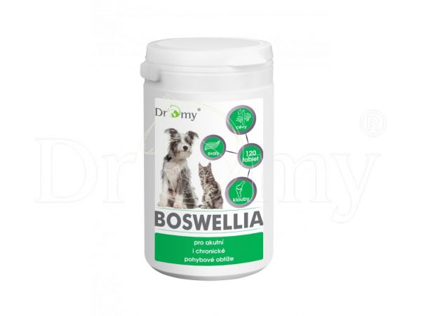 Dromy BOSWELLIA 120 tbl.