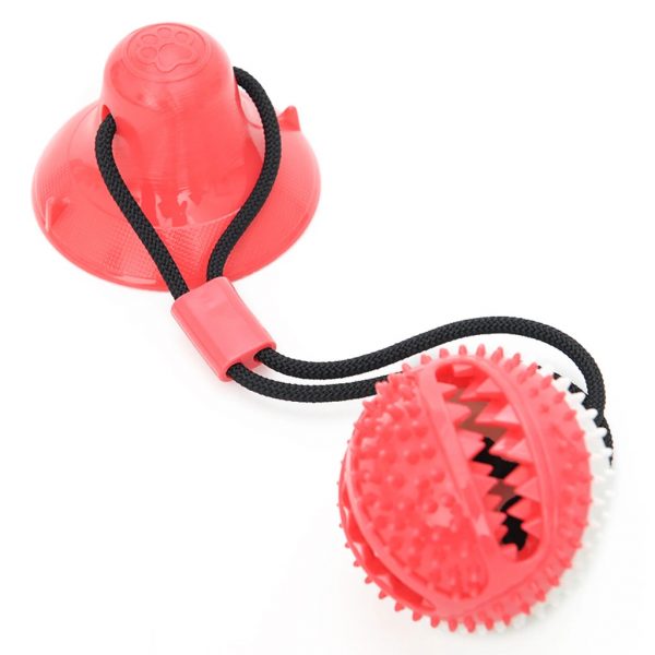 Reedog Pet Molar