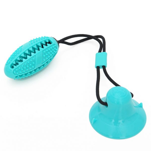 Reedog Pet Molar Tyrkys blue