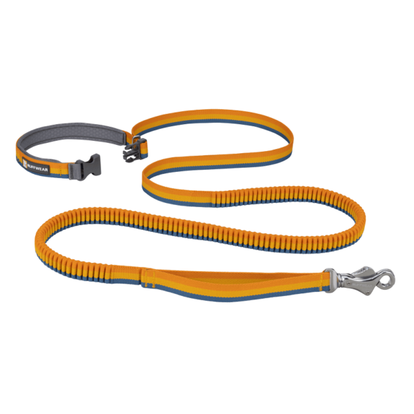 Vodítko pre psy Ruffwear Roamer™ Bungee Dog Lead