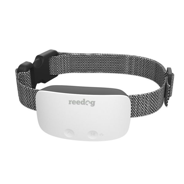 Reedog No Bark Premium - protištekací obojok novej generácie