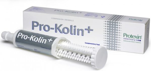 Protexin Pro-Kolin+ pasta pre psov a mačky