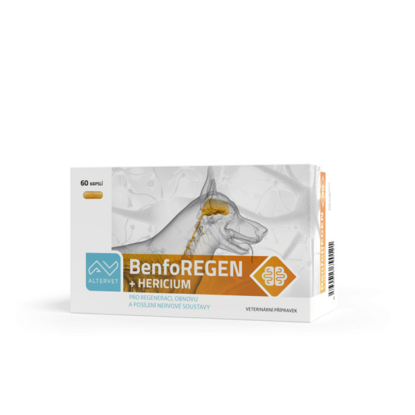 BenfoREGEN
