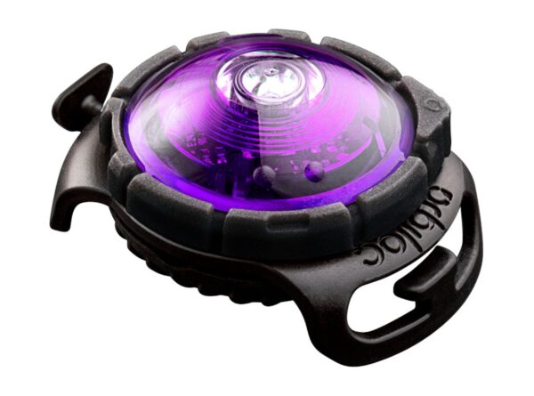 ORBILOC Dog Dual LED svetlo na obojok - fialové